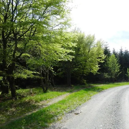 Serene In K Stelberg Near Medebach